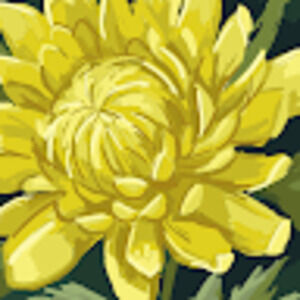 Meet your Posher, Ana